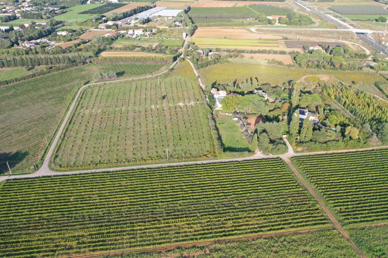 Domaine De La Trinite Montpellier - Aeroport - Plages - Arena - Zenith Saint-Aunes Exterior photo