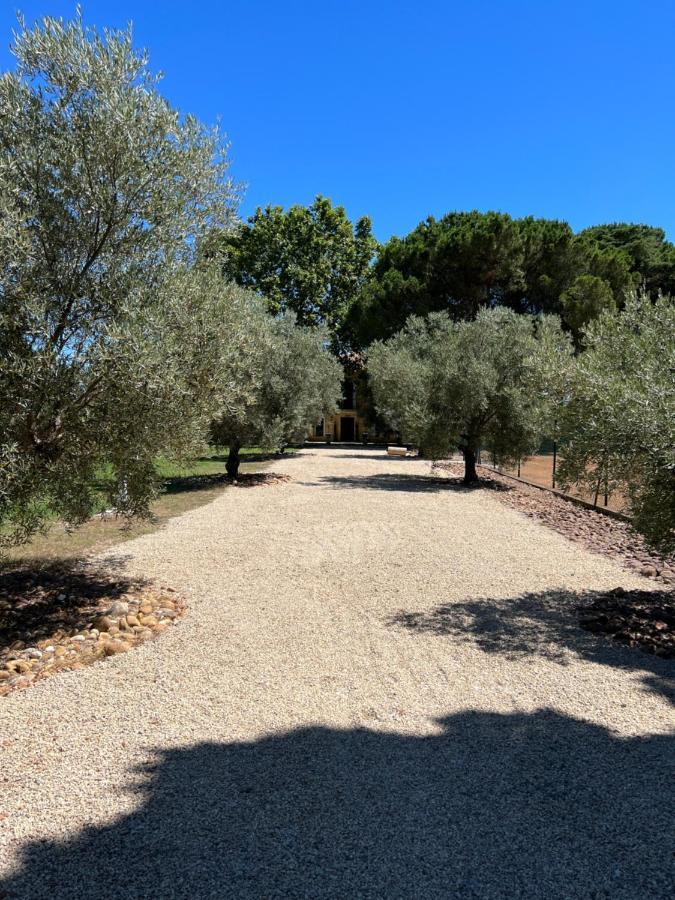 Domaine De La Trinite Montpellier - Aeroport - Plages - Arena - Zenith Bed & Breakfast Exterior photo